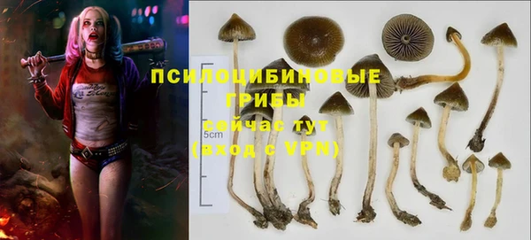 трава Лихославль