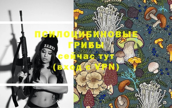 spice Липки